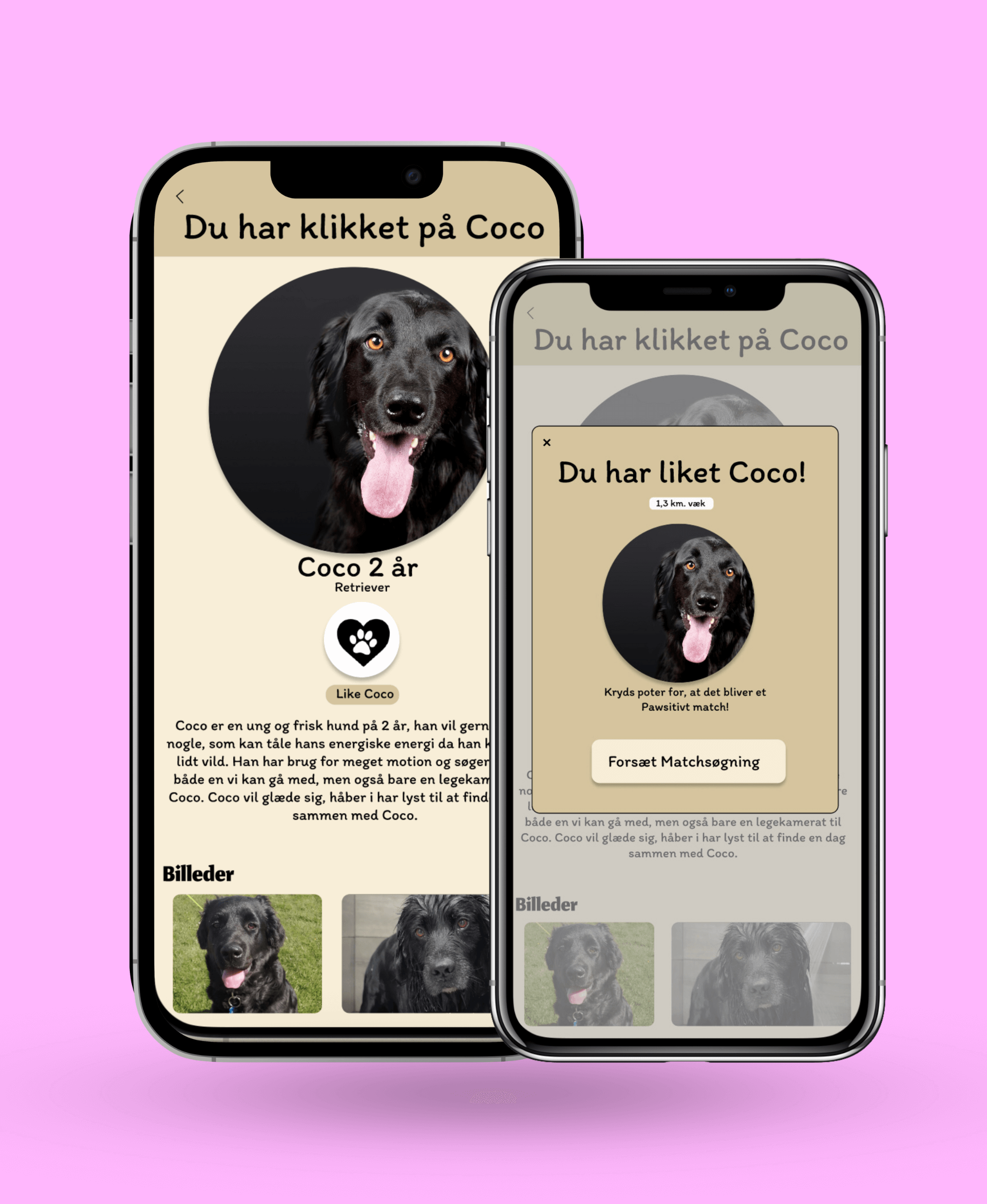 dating-app